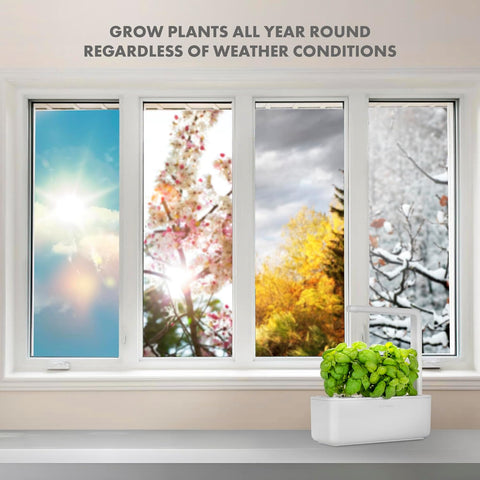Indoor Herb Garden Kit with Grow Light 