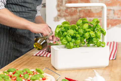 Indoor Herb Garden Kit with Grow Light 