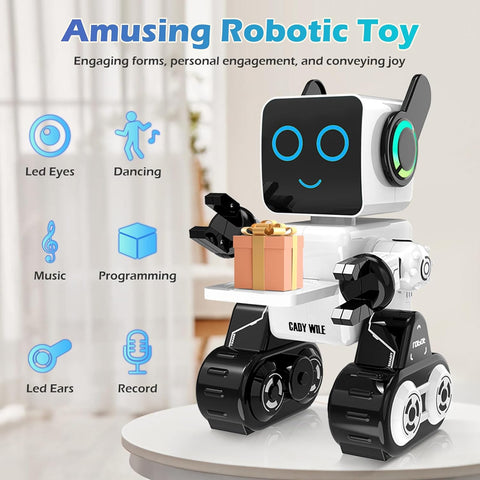 Rechargeable RC Robot Toy for Kids